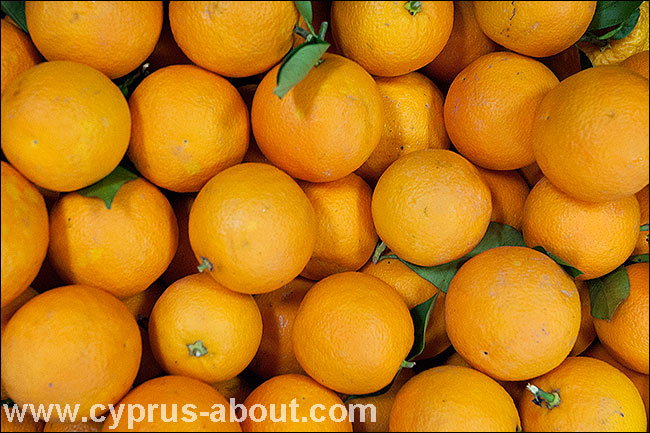 Сладкий апельсин (sweet orange)/ Фрукты Кипра