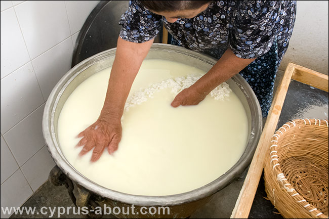 Процесс производства рассольного сыра халуми в домашних условиях на Кипре. Собирание творожных зерен в ком
