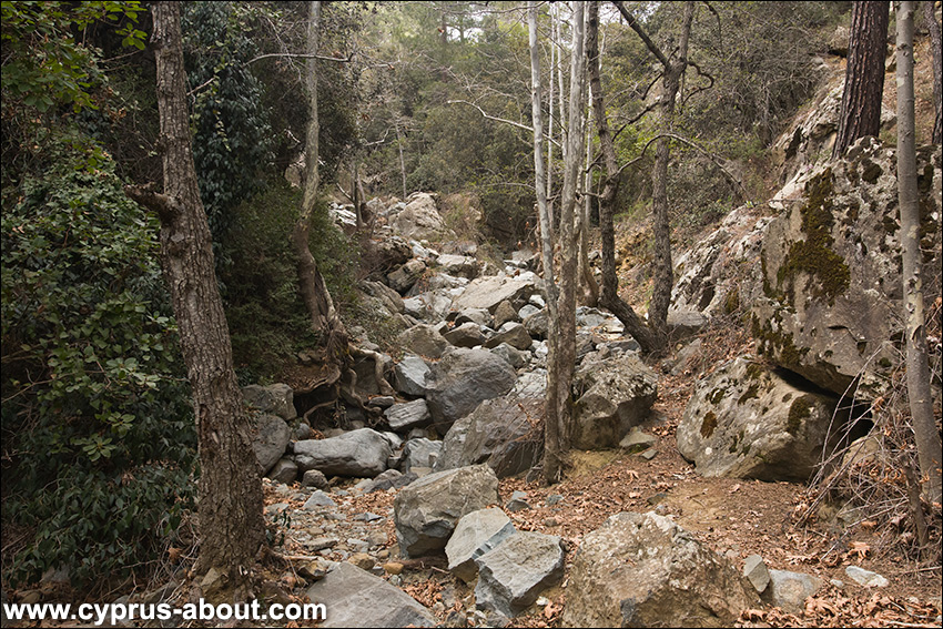 Дорога на Каледонский водопад. Платрес, Кипр