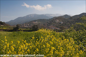 Вид на деревню Какопетрия. Кипр. Март.